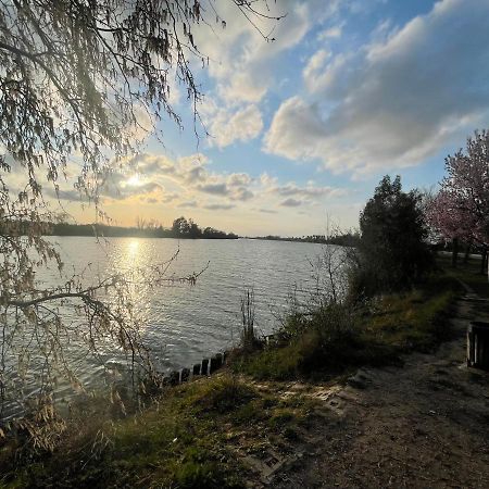 Lo Riu Apartman Deltebre Kültér fotó